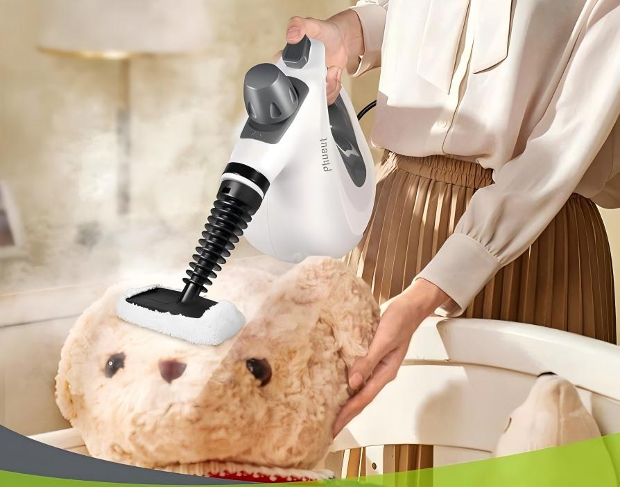 Revenue of 16.06 million US dollars, relying solely on steam cleaners? Domestic brands dominate the US market on TikTok