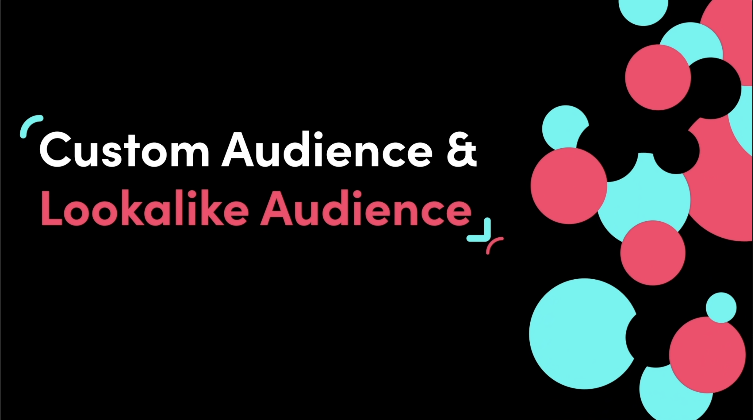 TikTok custom audience and similar audience