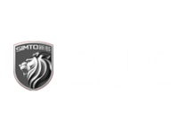 为国际市场提供高品质的中国门解决方案