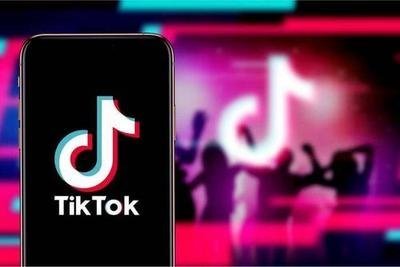 TikTok adult version color palette download method, want to get access to the city version