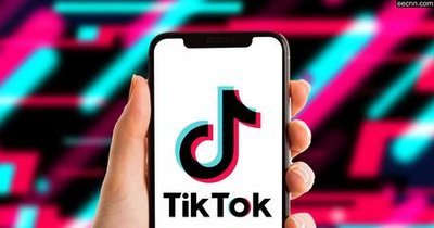 What should be noted when signing a TikTok influencer cooperation contract?