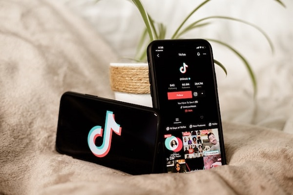 Under the recommended track by experts, why should TikTok users pay?