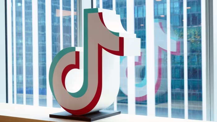 How can domestic B2B enterprises utilize TikTok short video advertising?  Skill sharing