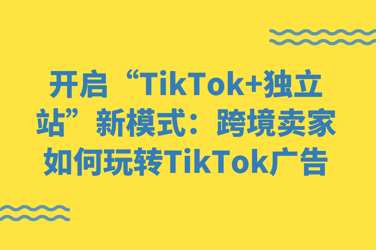 How cross-border sellers can efficiently play with TikTok+independent website