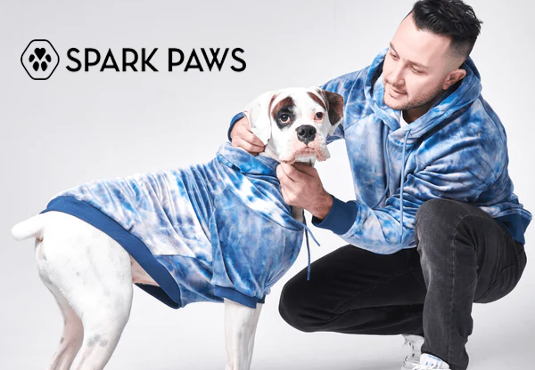 Another pet clothing brand has become popular overseas, earning millions of dollars in revenue in a year!