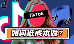 Share low-cost methods of TikTok for companies that have already gone global
