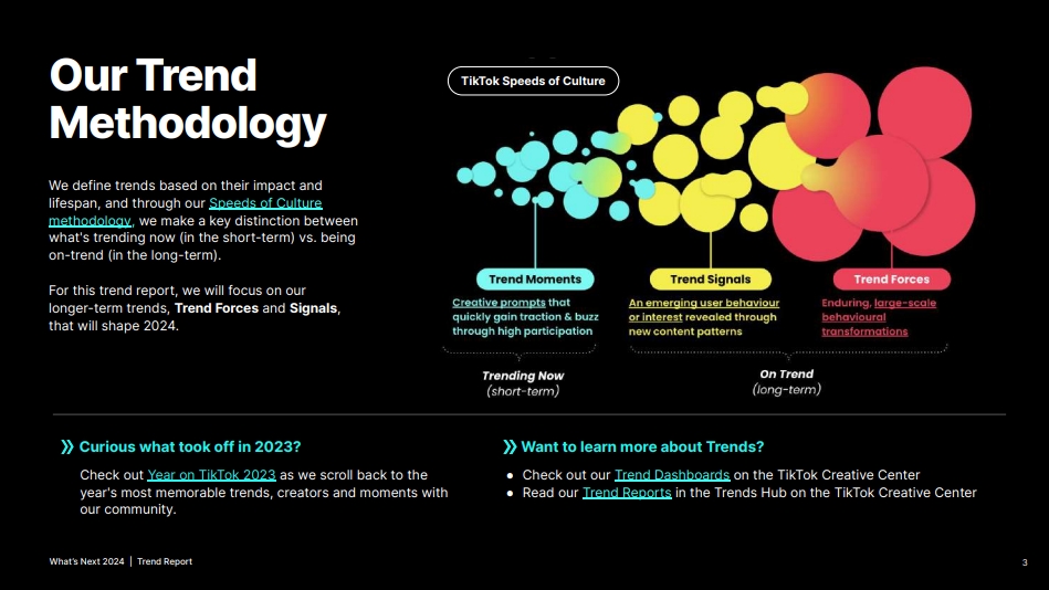 2024年TikTok趋势预测报告-3
