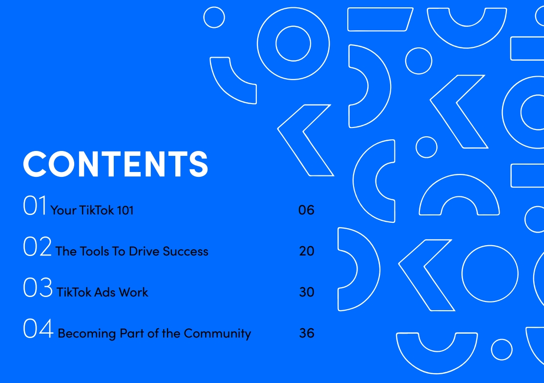 TikTok电子书:TikTok为何让客户做出购买行为-2