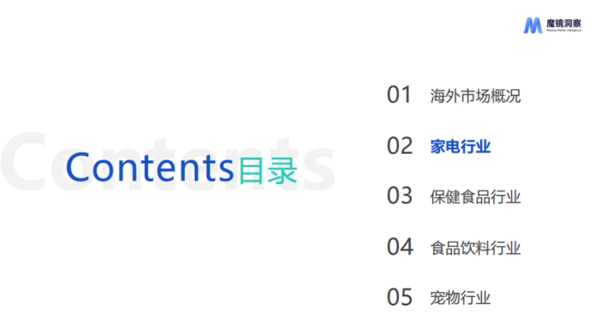 2024年海外家电白皮书-2