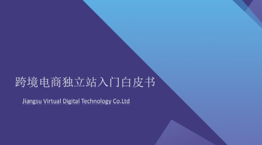 2024 Cross border E-commerce Independent Station Introduction White Paper