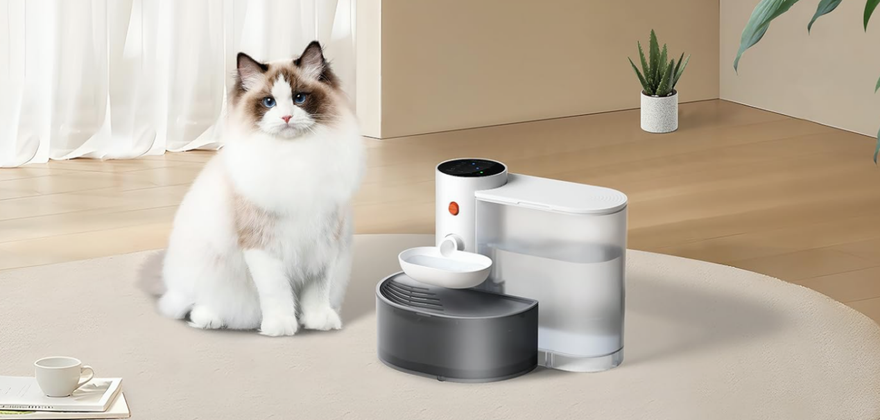 In just three days, sales skyrocketed by 753.8%! What product has such strong appeal?