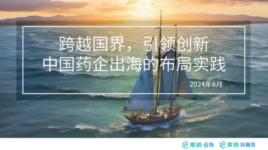 Practical Report on the Layout of Chinese Pharmaceutical Companies Going Global in 2024- MoEntropy Consulting