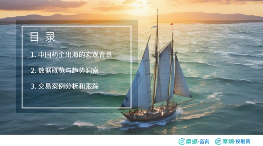 2024年中国药企出海的布局实践报告-2