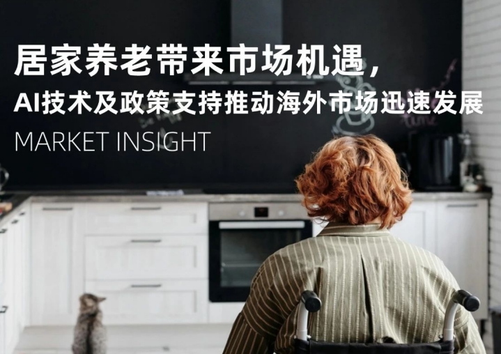 2024年海外智能适老化市场洞察及产品方向报告-3