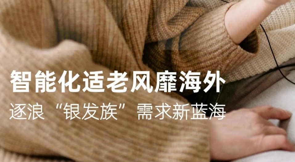 2024年海外智能适老化市场洞察及产品方向报告-1