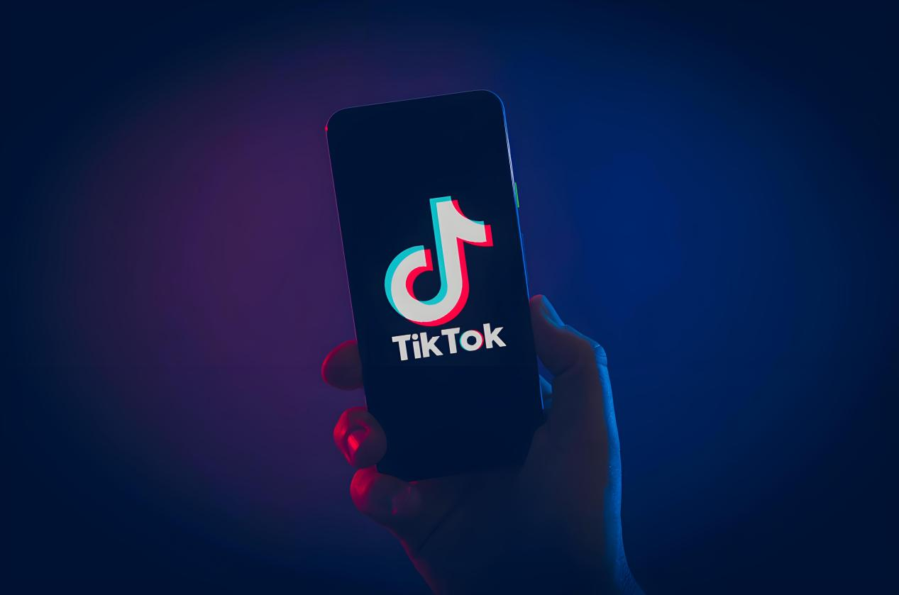 How can novice brands quickly establish awareness and seize the market on TikTok?