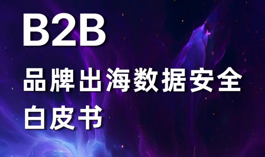 2025 B2B Brand Overseas Data Security White Paper