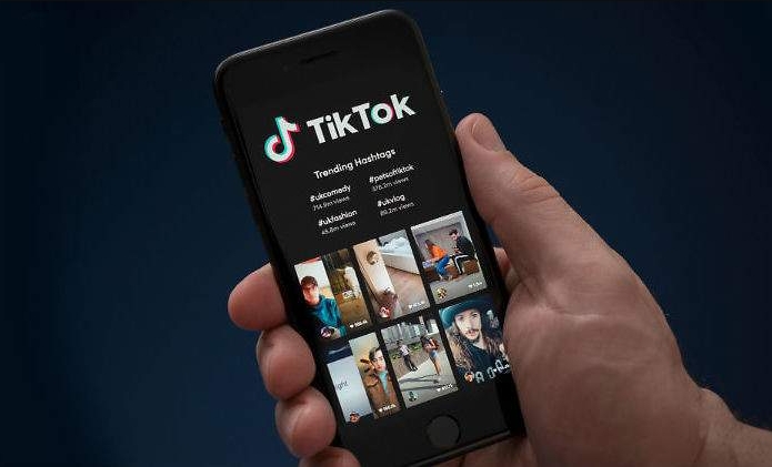 tiktok web version