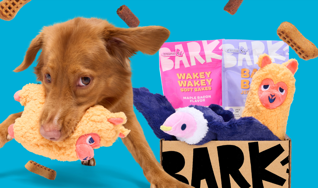 Do dogs also open blind boxes? This' Bubble Mart 'in the dog world has made a huge profit!