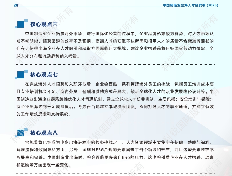 2025中国制造业出海人才白皮书-4