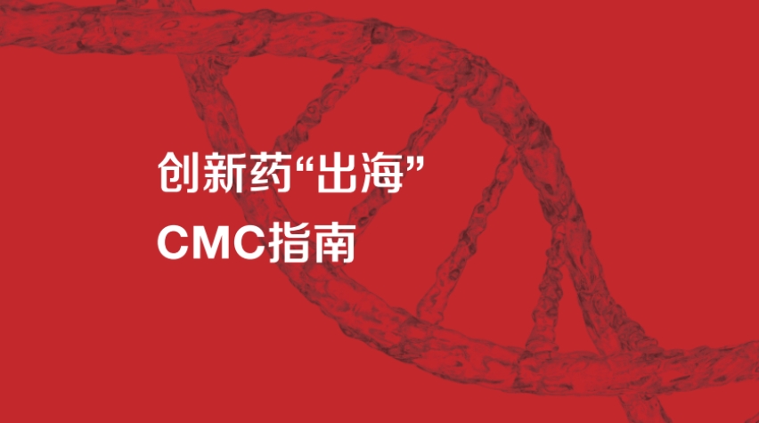 2024 CMC Guidelines for Innovative Drugs Going Global