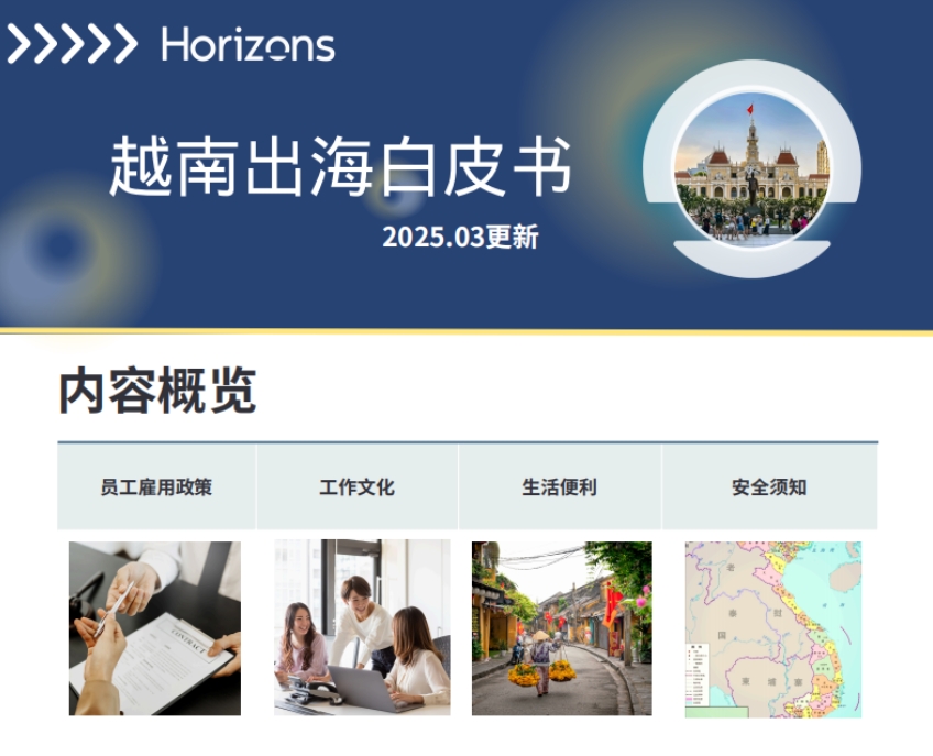 White Paper on Vietnam's Going Global in 2025