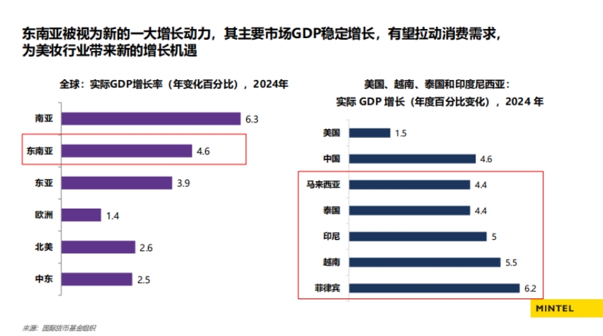 2025出海东南亚美容个护趋势解读报告-4