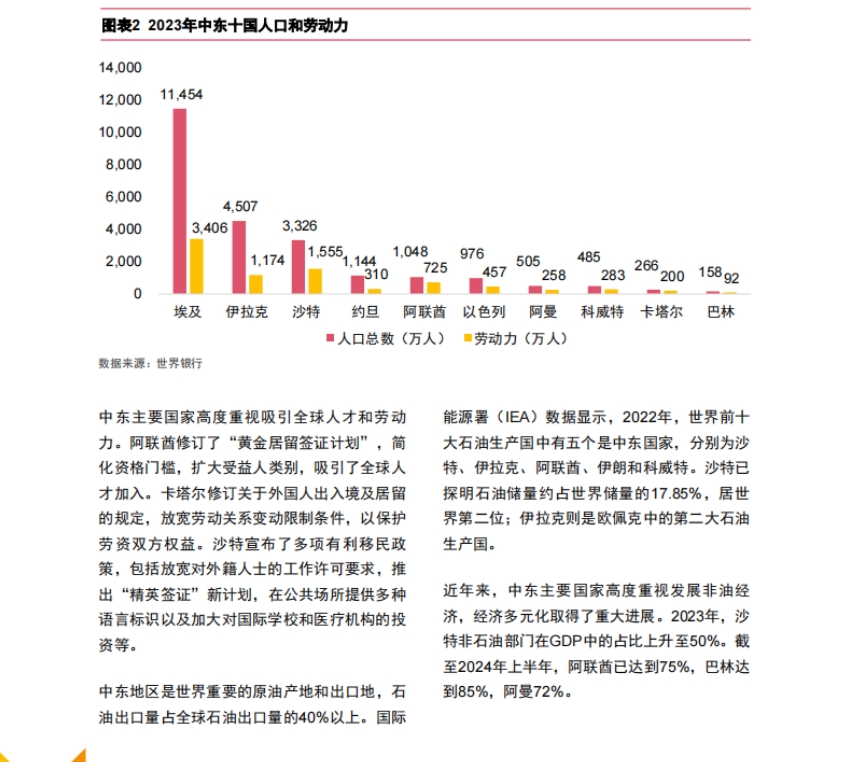 中国企业“出海”系列研究报告-5