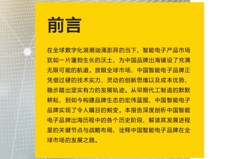 2025年智能电子产品海外市场洞察报告-2