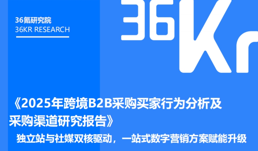 2025年跨境B2B采购买家行为分析及采购渠道研究报告-1