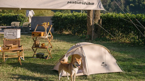 Earning 1.5 billion!  Ningbo outdoor brand quietly makes big money!