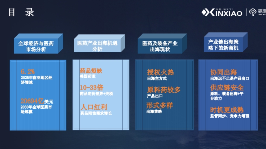 2025 Pharmaceutical Industry Chain Overseas Strategy Research Report-2