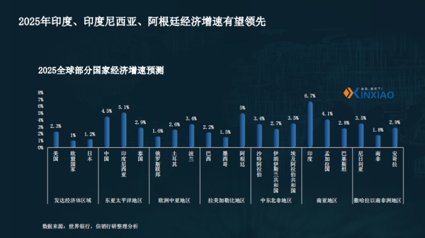 2025 Pharmaceutical Industry Chain Overseas Strategy Research Report-5