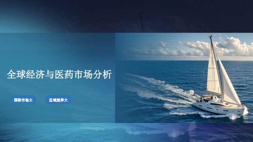 2025 Pharmaceutical Industry Chain Overseas Strategy Research Report-3