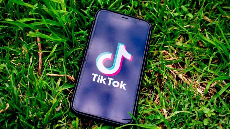 Brand Going Global TikTok: Able to Plant Grass, Understand Interaction, and Sell Goods