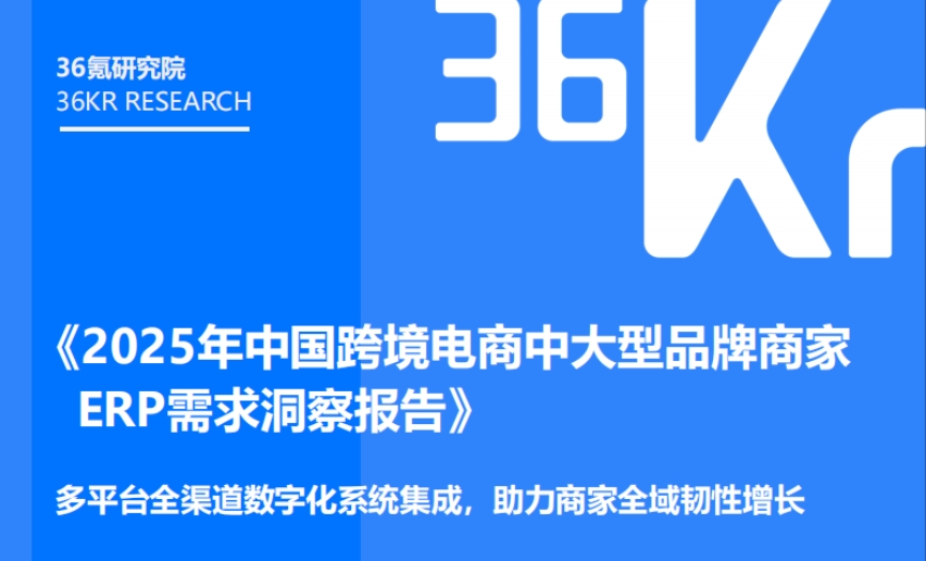 2025年中国跨境电商中大型品牌商家ERP需求洞察-1