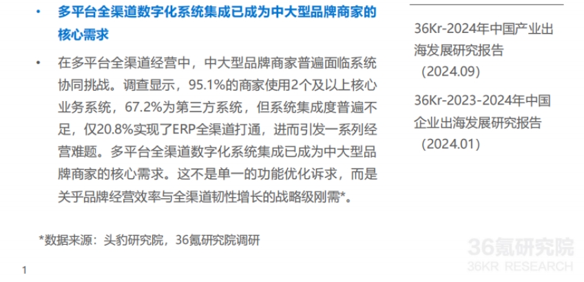 2025年中国跨境电商中大型品牌商家ERP需求洞察-3