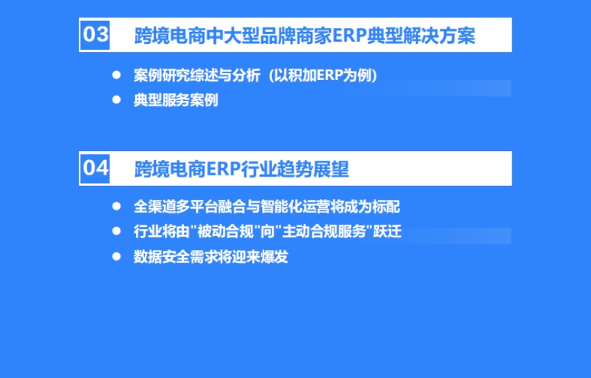 2025年中国跨境电商中大型品牌商家ERP需求洞察-5