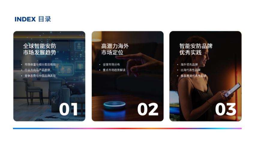 2025中国智能安防出海深度解读报告-2