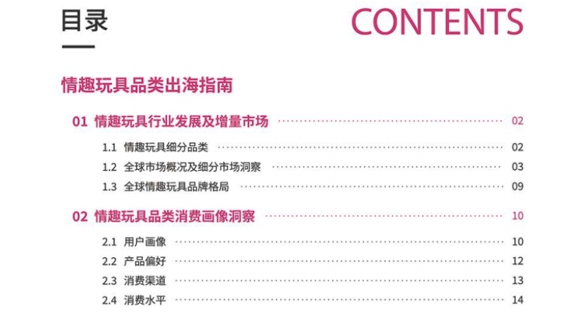 Adult Toy Category Overseas Guide-2