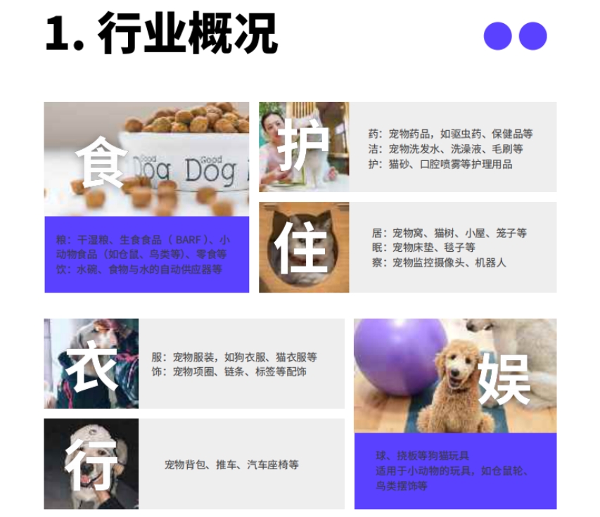 2024中国宠物产业出海分析报告-2