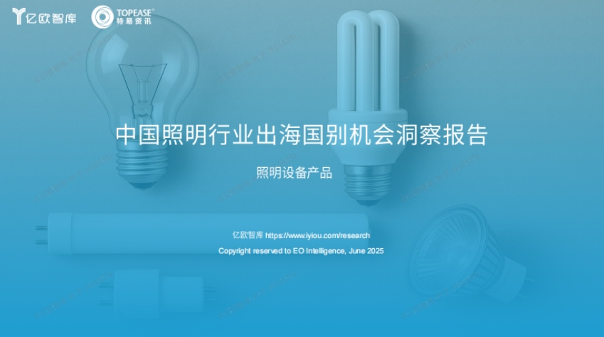 2025年中国照明行业出海国别机会的洞察报告-1
