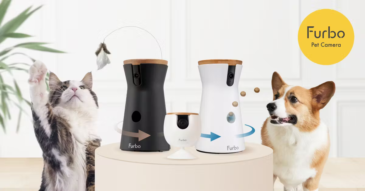 Deeply cultivating a category for ten years, Taiwanese couples earn millions of dollars annually through pet cameras!